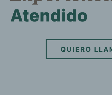 Screenshot del proyecto